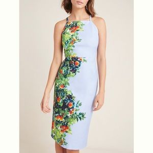 Anthropology Floral Dress Size 0 (Brand New)